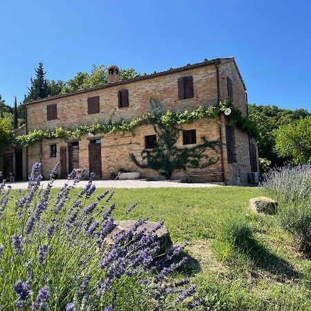L'Infinito Bed & Breakfast Mombaroccio Екстериор снимка